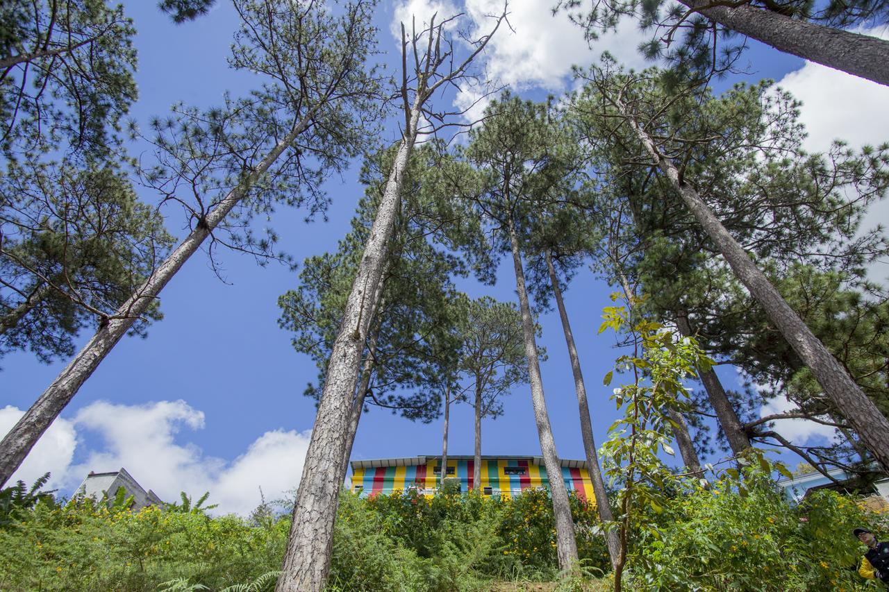iColor Dalat Hostel Buitenkant foto